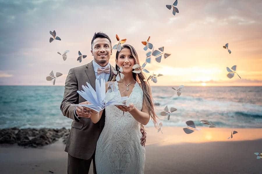 Le Papillon Magique Alegria Weddings-events