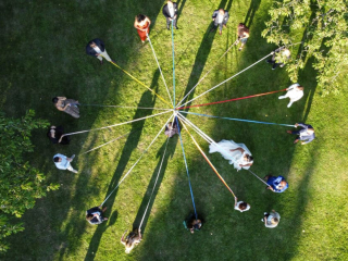 DJI 0388 1024x619